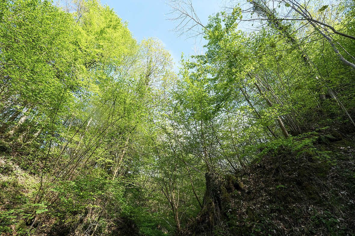 Outdoor-Coaching